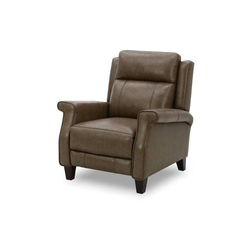 Raleigh Pushback Recliner image