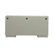Terrace 4 Door Accent Cabinet image