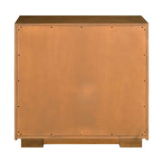 Easton 2 Door Accent Cabinet image