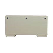 Terrace 4 Door Accent Cabinet image