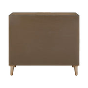 Eden 2 Door Accent Cabinet image