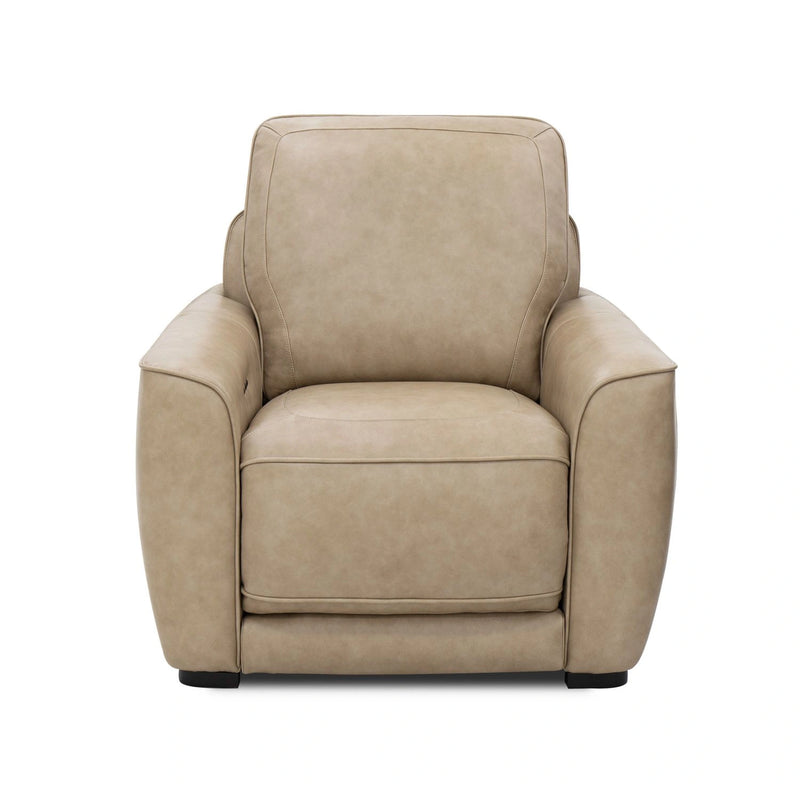 Blake Recliner P2 & ZW image
