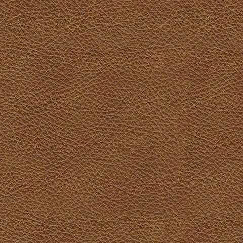 Emilia Sectional Sofa