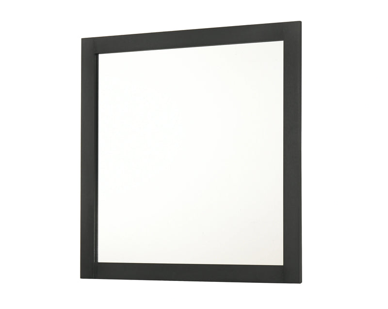 Nemy Dresser Mirror
