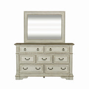 Abbey Park Mirror in Antique White image