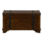 Aspen Skies Storage Trunk in Russet Brown image